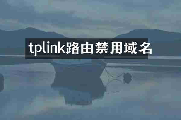 tplink路由禁用域名