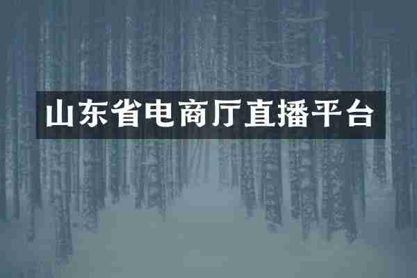 山东省电商厅直播平台