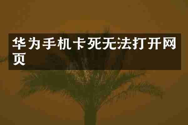 华为死无法打开网页