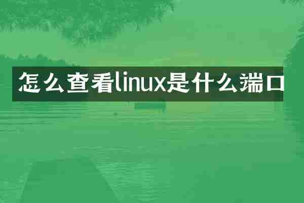 怎么查看linux是什么端口