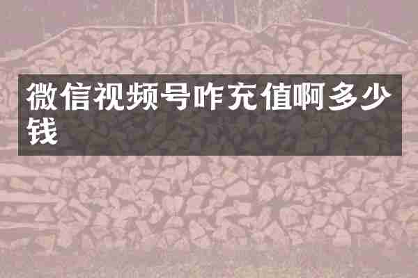 微信视频号咋充值啊多少钱