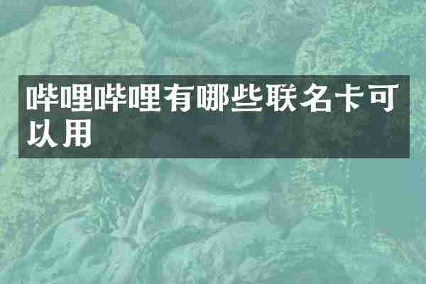 哔哩哔哩有哪些联名卡可以用