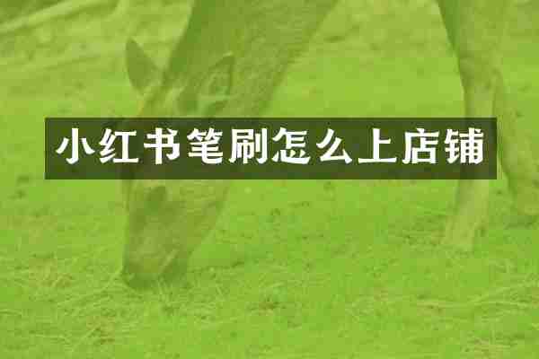 小红书笔刷怎么上店铺