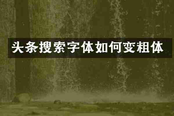 头条搜索字体如何变粗体
