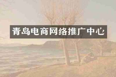 青岛电商网络推广中心