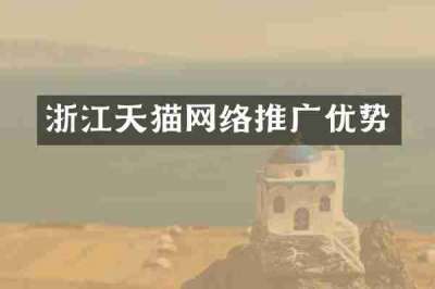 浙江天猫网络推广优势