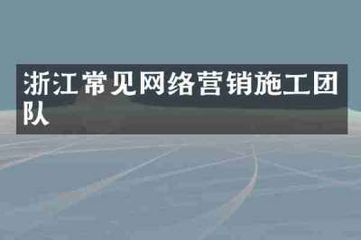 浙江常见网络营销施工团队