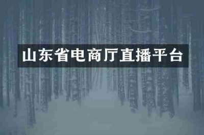 山东省电商厅直播平台
