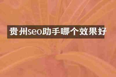 贵州seo助手哪个效果好