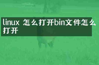 linux 怎么打开bin文件怎么打开