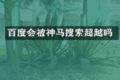 百度会被神马搜索超越吗