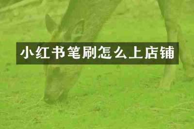 小红书笔刷怎么上店铺