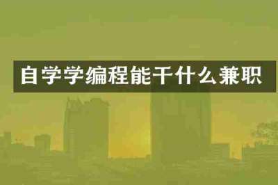 自学学编程能干什么兼职