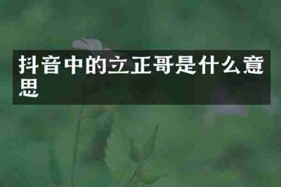 抖音中的立正哥是什么意思