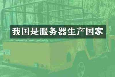 我国是服务器生产国家