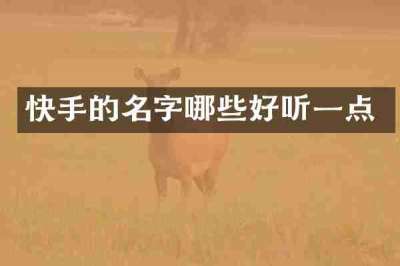快手的名字哪些好听一点