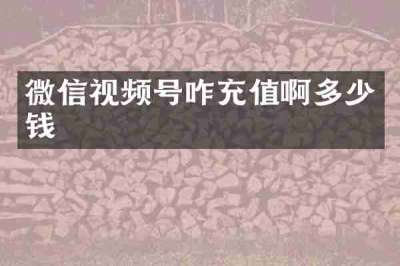 微信视频号咋充值啊多少钱