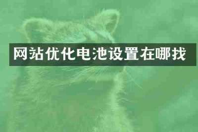 网站优化电池设置在哪找