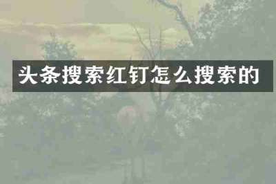 头条搜索红钉怎么搜索的
