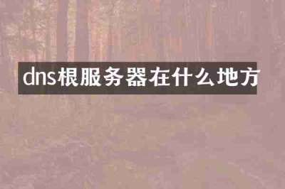 dns根服务器在什么地方