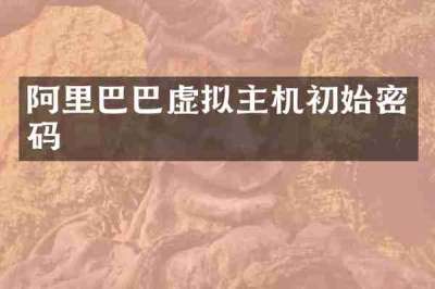 阿里巴巴虚拟主机初始密码