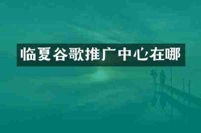 临夏谷歌推广中心在哪