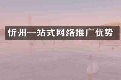 忻州一站式网络推广优势