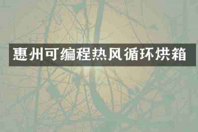 惠州可编程热风循环烘箱