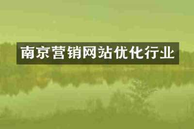 南京营销网站优化行业