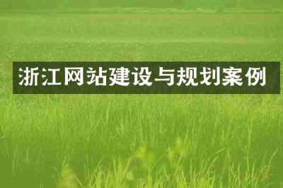 浙江网站建设与规划案例