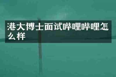 港大博士面试哔哩哔哩怎么样