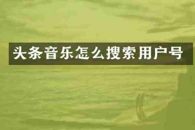 头条音乐怎么搜索用户号
