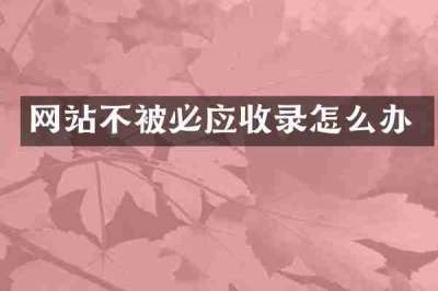 网站不被必应收录怎么办