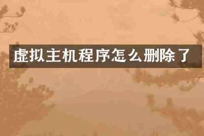 虚拟主机程序怎么删除了
