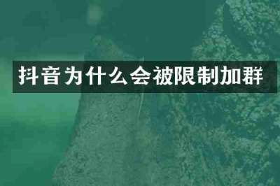 抖音为什么会被限制加群