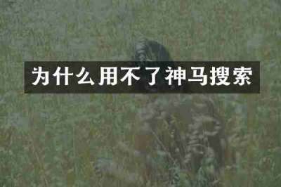 为什么用不了神马搜索