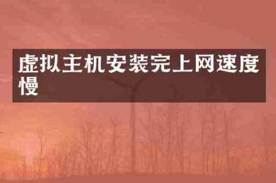 虚拟主机安装完上网速度慢