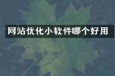 网站优化小软件哪个好用