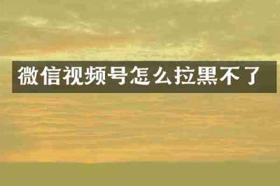 微信视频号怎么拉黑不了