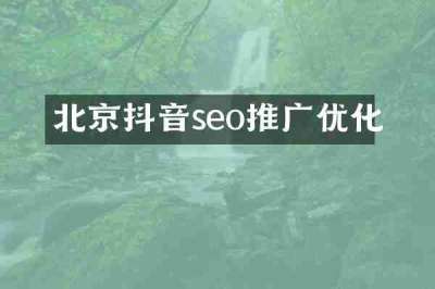 北京抖音seo推广优化