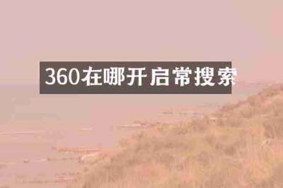 360在哪开启常搜索
