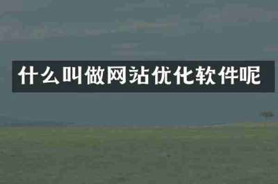 什么叫做网站优化软件呢
