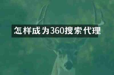 怎样成为360搜索代理