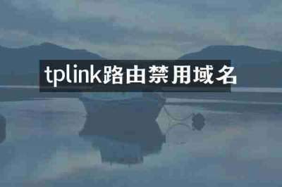 tplink路由禁用域名