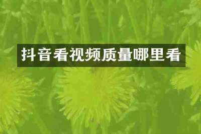 抖音看视频质量哪里看