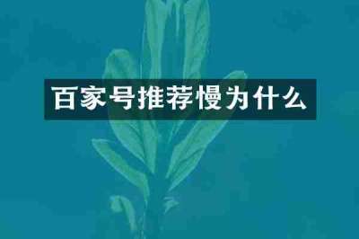 百家号推荐慢为什么