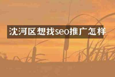 沈河区想找seo推广怎样