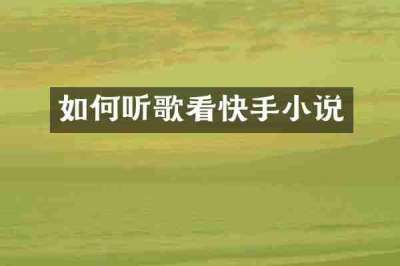如何听歌看快手小说