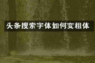 头条搜索字体如何变粗体