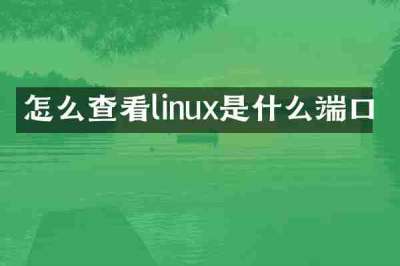 怎么查看linux是什么端口